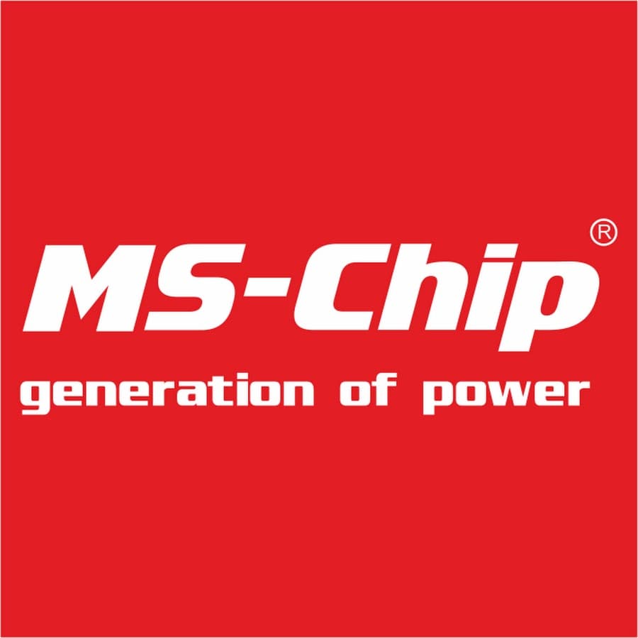 MS-Chip